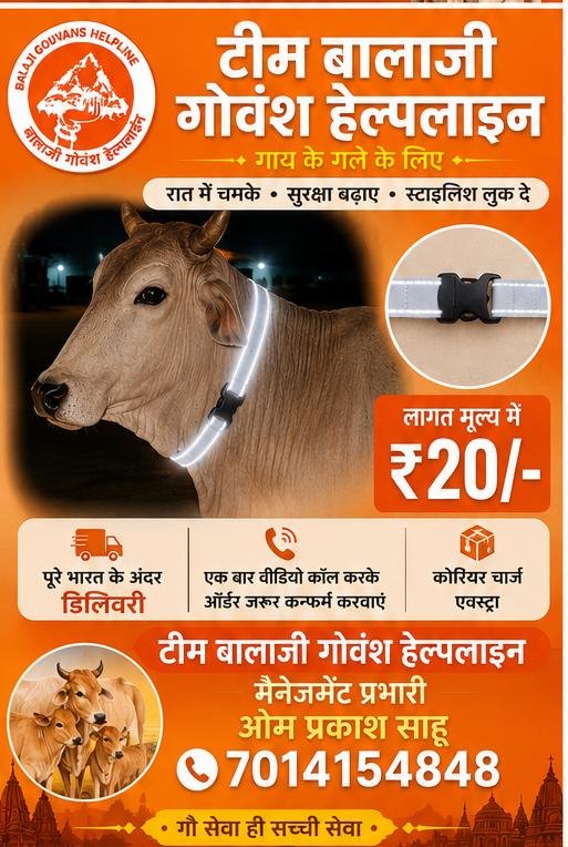 50 पीस गौवंश सुरक्षा रेडियम बेल्ट